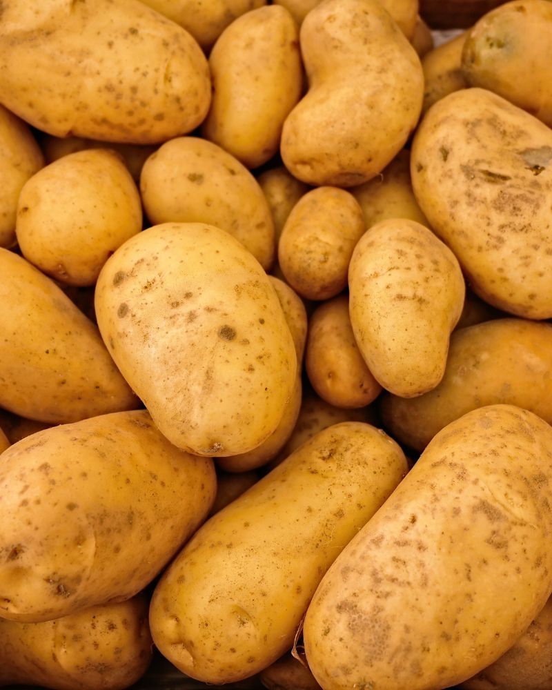 vegitable