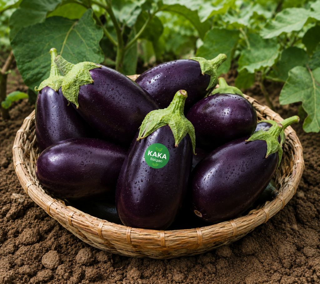 Brinjal (Baigan) 1 KG