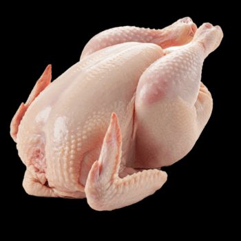 Boiler chiken