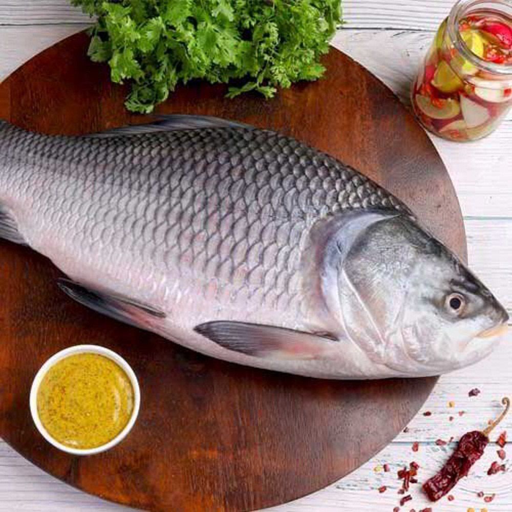 Katla fish Big size