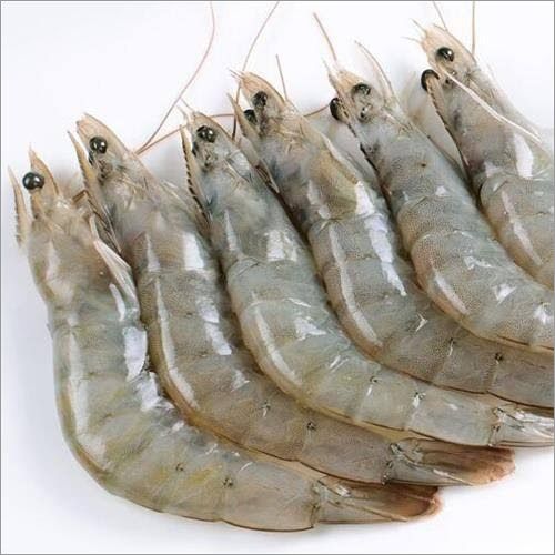 Prawn fish